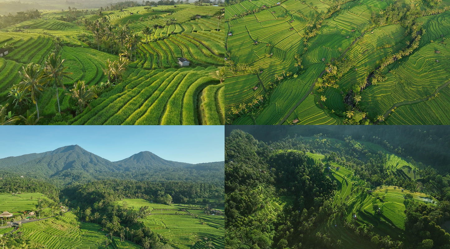 INDONESIA 4K MEGA VALUE PACK - 2 HOURS (426 clips)