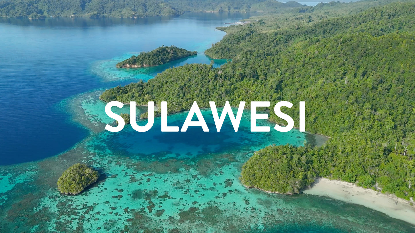 SULAWESI 4K MEGA VALUE PACK - 23 MINUTES (68 clips)